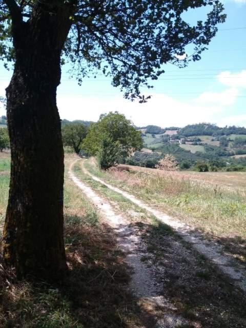 Casa Vacanze Campo D'Arco Nocera Umbra Kültér fotó