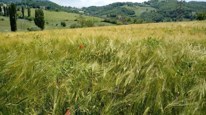Casa Vacanze Campo D'Arco Nocera Umbra Kültér fotó
